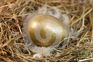 Gold egg in a nest