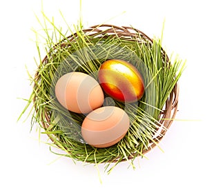 Gold egg in nest isolated