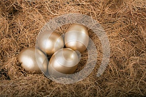 Gold eggs in nest