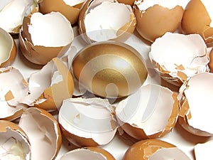 Gold and eggshell