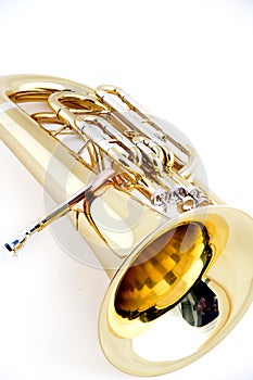 Gold Euphonium Isolated on White Bk