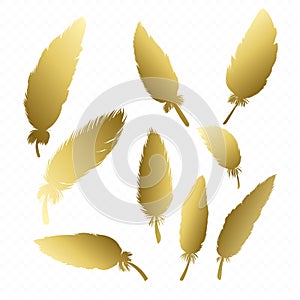 Gold feather collection.  Golden quill feathers, elegant silhouette, simple editable colour. Vector illustration