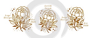 Gold feminine beauty logo elements with peony flower and leaf branch