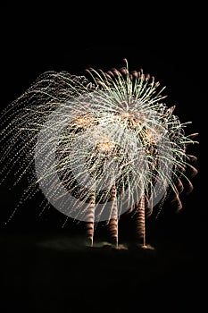 Gold fireworks exploding in a cirlcle