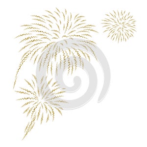 Gold fireworks on white background vector illustration