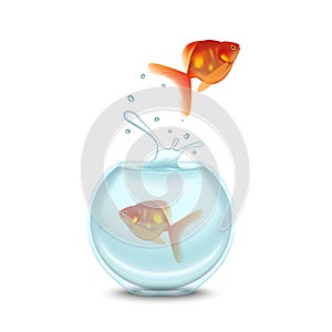 Gold Fish and Aquarium on a White Background. Vector