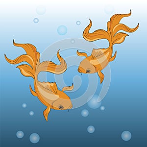 Gold Fish background
