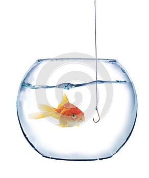 Gold fish and empty hook