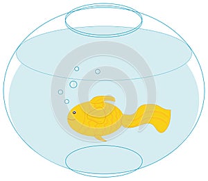 Gold fish in a fishbowl