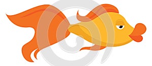 Gold fish, illustration, vector