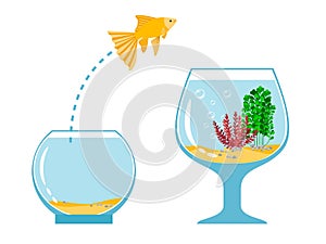 Gold fish jumping escape from fishbowl to other aquarium simple vector illustration