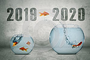 Gold fish jumping out of water in fishbowl with numbers 2019 2020