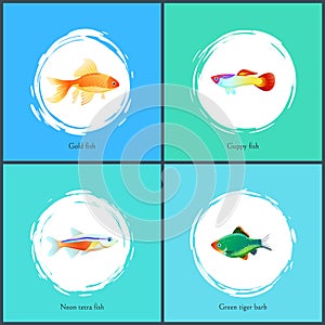 Gold Fish and Neon Tetra Set Vector Illustration