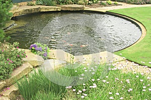 A gold fish pond in the garden.