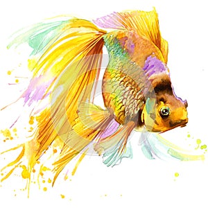 Gold fish T-shirt graphics, gold fish illustration with splash watercolor textured background.