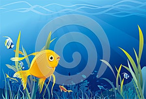 Gold fish, underwater life - illustration