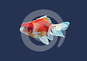 Gold Fish Vector Art Design portrait