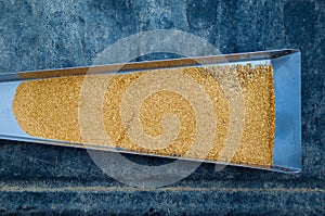 Gold Flakes in a Sluice Box photo