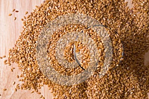 Gold flaxseed