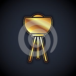 Gold Floor lamp icon isolated on black background. Vector