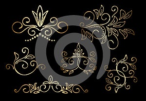Gold floral vector design elements - set