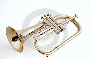 Gold Flugelhorn White Background