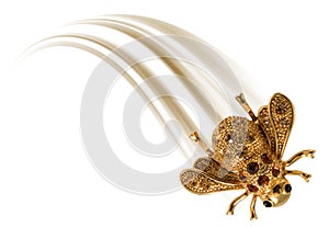 Gold fly
