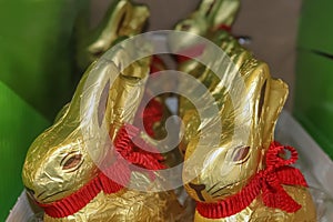Gold foil covered chocolate bunnies with red bows around their necks sitting in a row in a green box for Easter