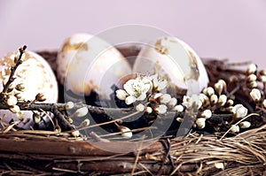 Gold foiled painted easter eggs in a nest, decorated with a cherry blossom branch