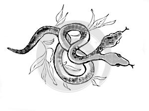 Gold font on a luxury green backgroundillustration of a snake. a hand-drawn tattoo of a two-headed snake
