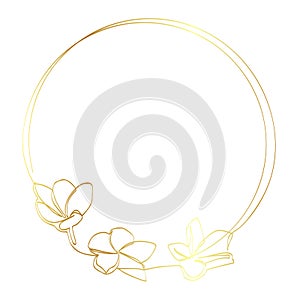 gold frangipani and circle frame in simple sketch vector single or continuous line