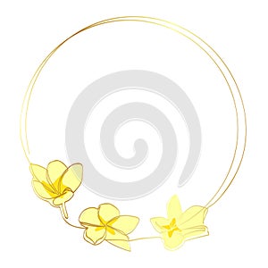 gold frangipani and circle frame in simple sketch vector single or continuous line