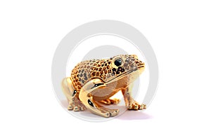 Gold frog