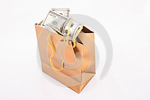 Gold gift bag with dollars