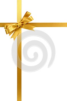 Gold gift ribbon bow isolated on white background vertical photo