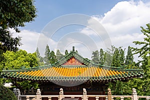 Gold Glazed Glaze Roof