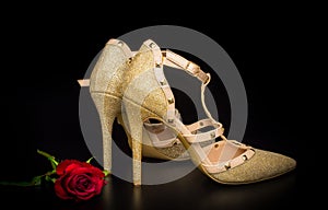 Gold glitter shoe with red rose on black background