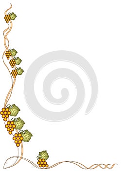 Gold grape border