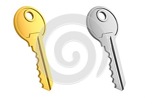 Gold and gray key