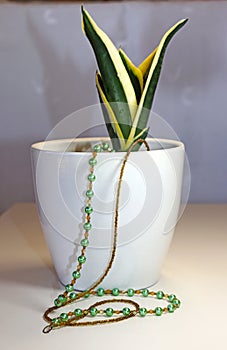 Gold and green bead necklace photo