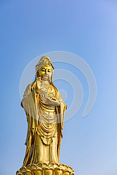 Gold Guan Yin Buddha Statue, Zhejiang, China