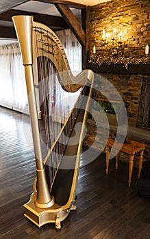 Gold harp on a dark wood floor in front of a fireplace with a lit lamp