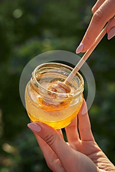 Gold honey with a special spoon in a jar on the background of nature