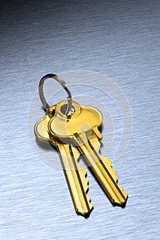 Gold House Keys Keyring