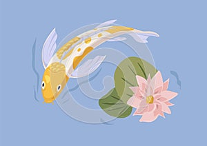 Gold Japanese koi fish swimming in pond with flower. Asian decorative tranquil carp in Japan water garden. Traditional