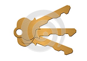 Gold key