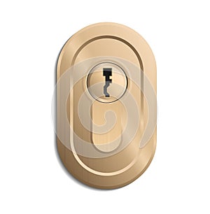 Gold keyholes vector