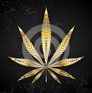 Gold leaf cannabis on gray background