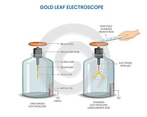 Gold leaf electroscope was Detects electric charge via leaf divergence, a common tool in electrostatics photo