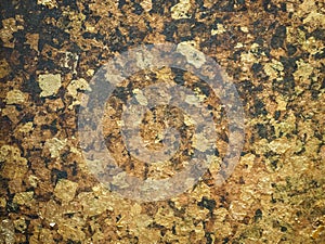 Gold leaf, Gild background texture.